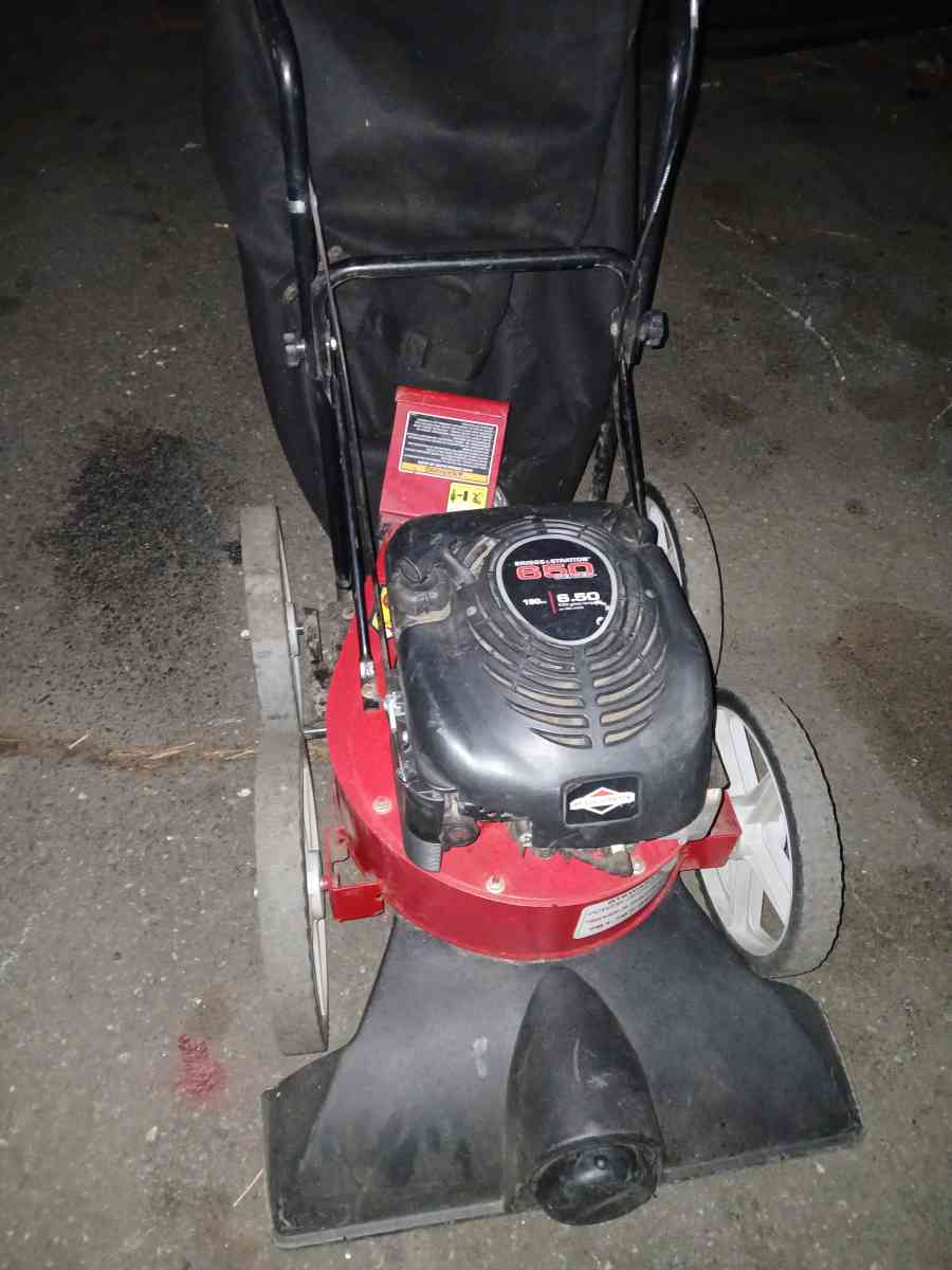 Briggs n Stratton leaf sucker