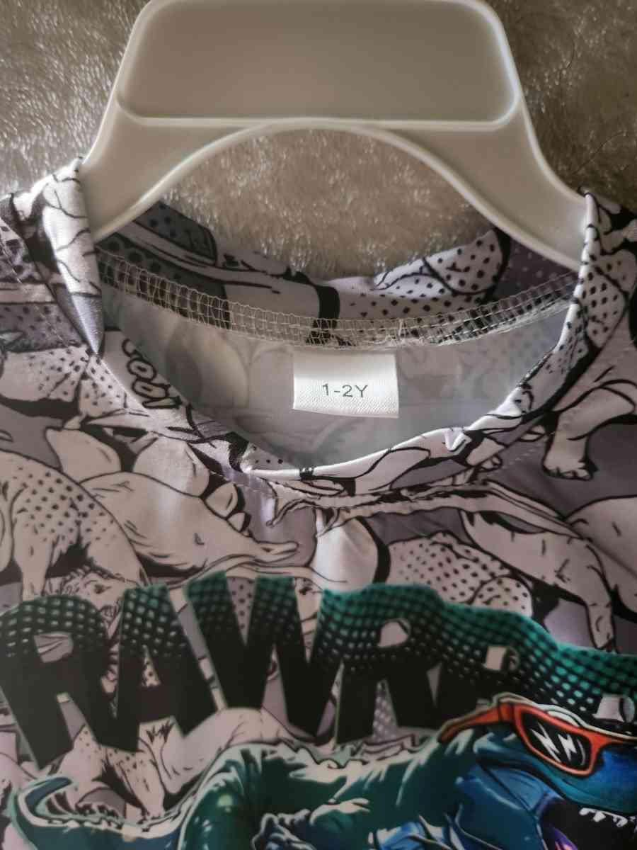 1 to 2 Years Boys Gray Dinosaur Outfit