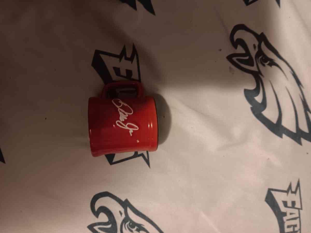 Nascar dale earnhardt collectible mini mug