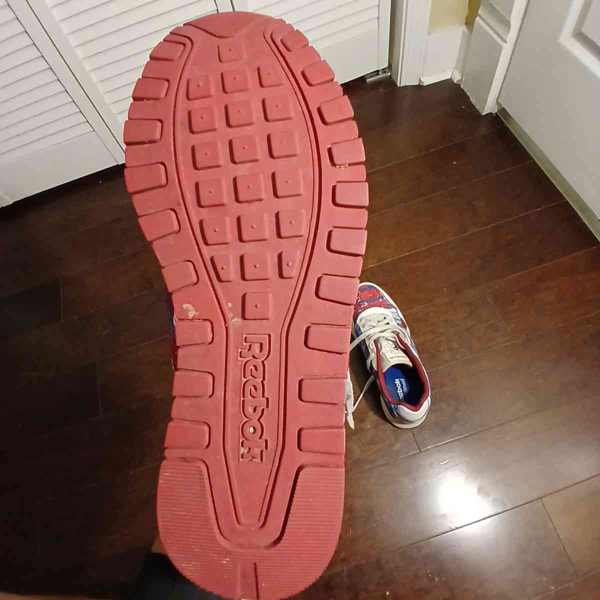 Reebok Classic personally painted for men size 9