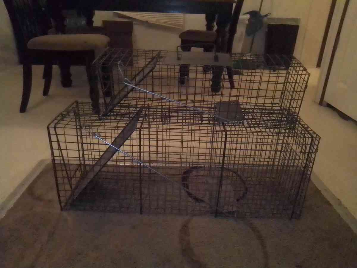 animal traps