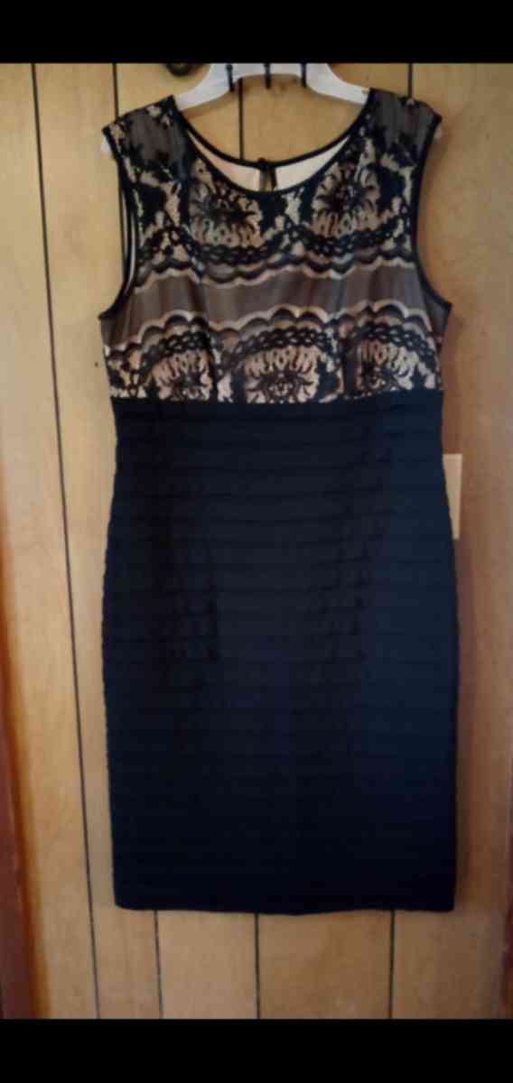 Ladies knee length formal black dress
