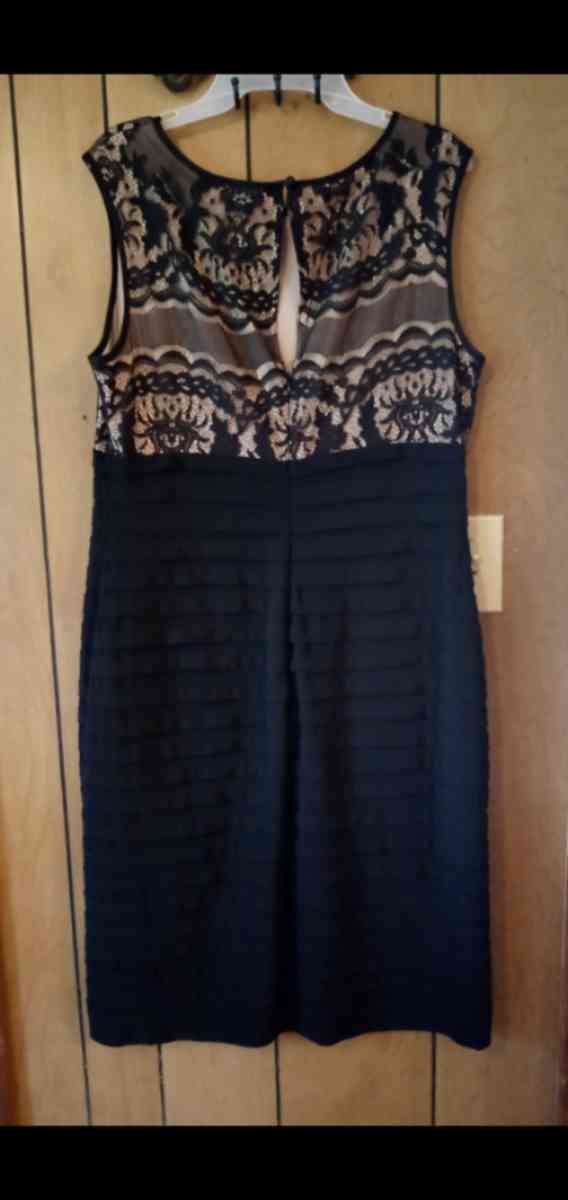 Ladies knee length formal black dress