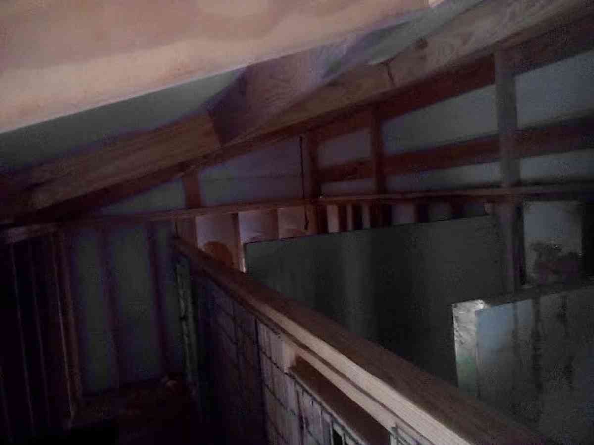 4Bay Dog kennel for breading o