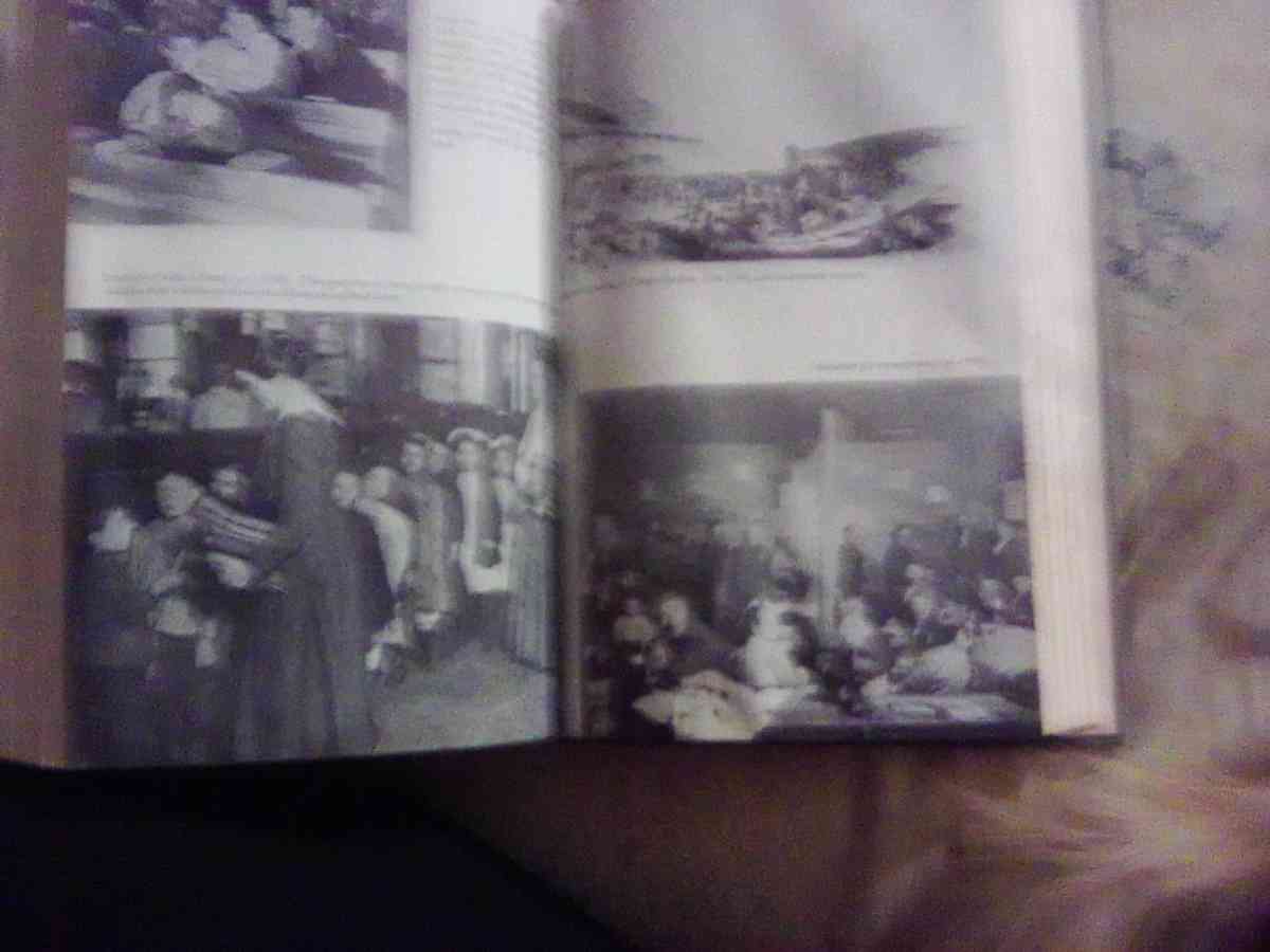 The School in the American Social Order