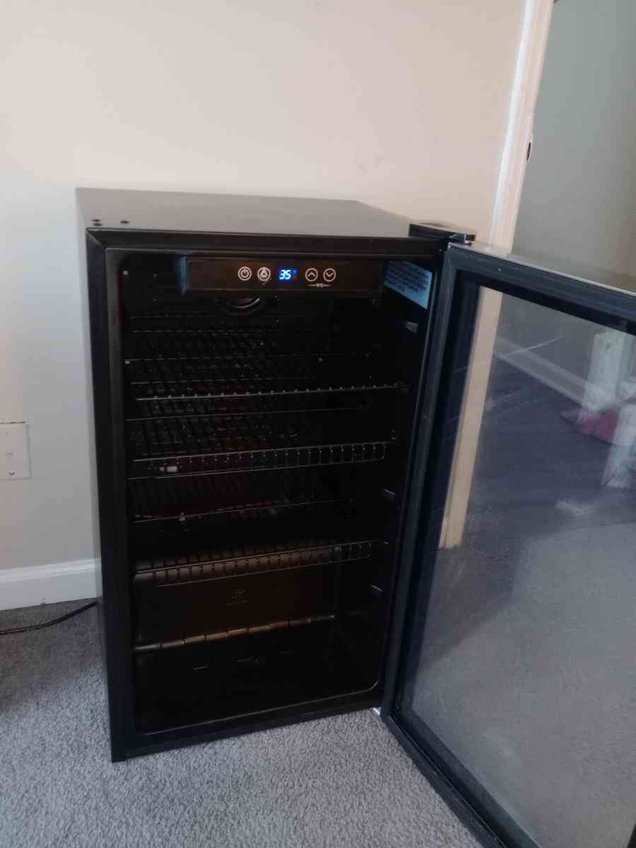 Mini Fridge with Glass Door
