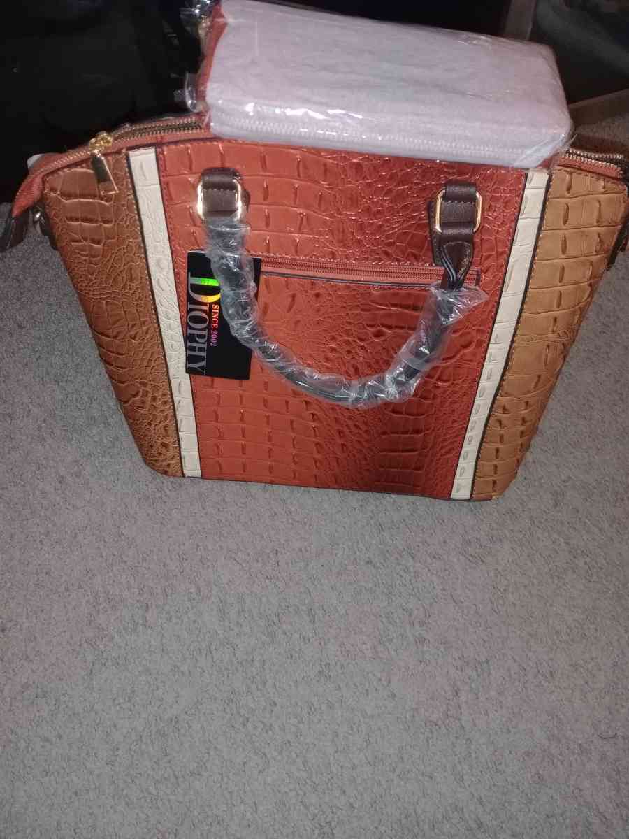 New Multicolor Handbag with Matching Wallet