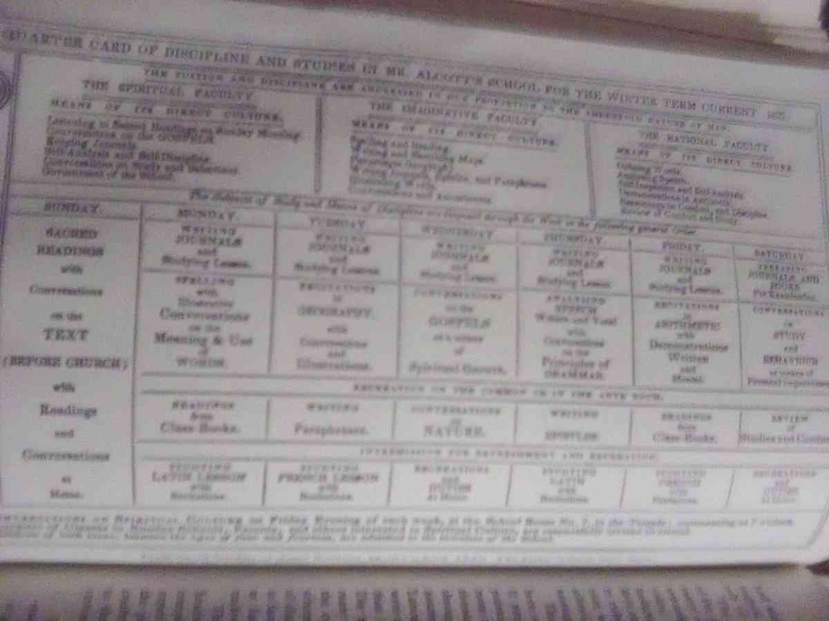 The School in the American Social Order