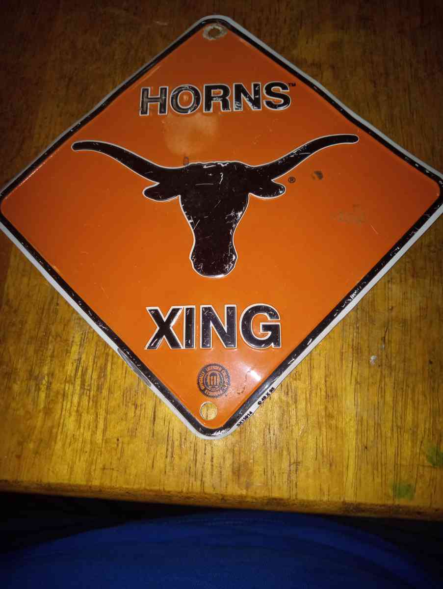 Texas Longhorns lot
