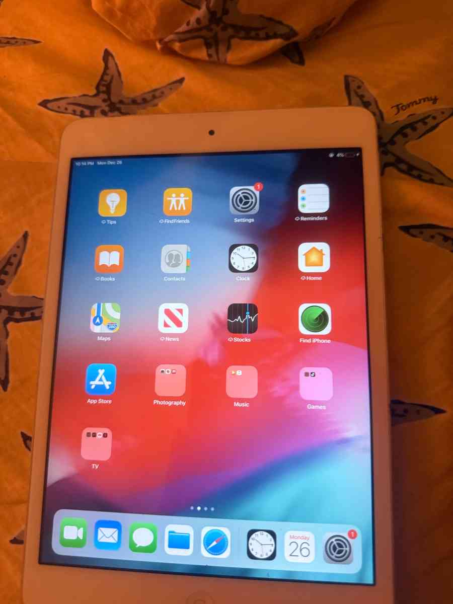 iPad mini