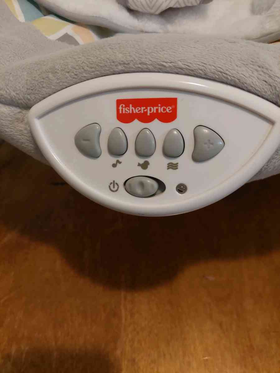 FisherPrice Sweet Snugapuppy Deluxe Bouncer portable bouncin