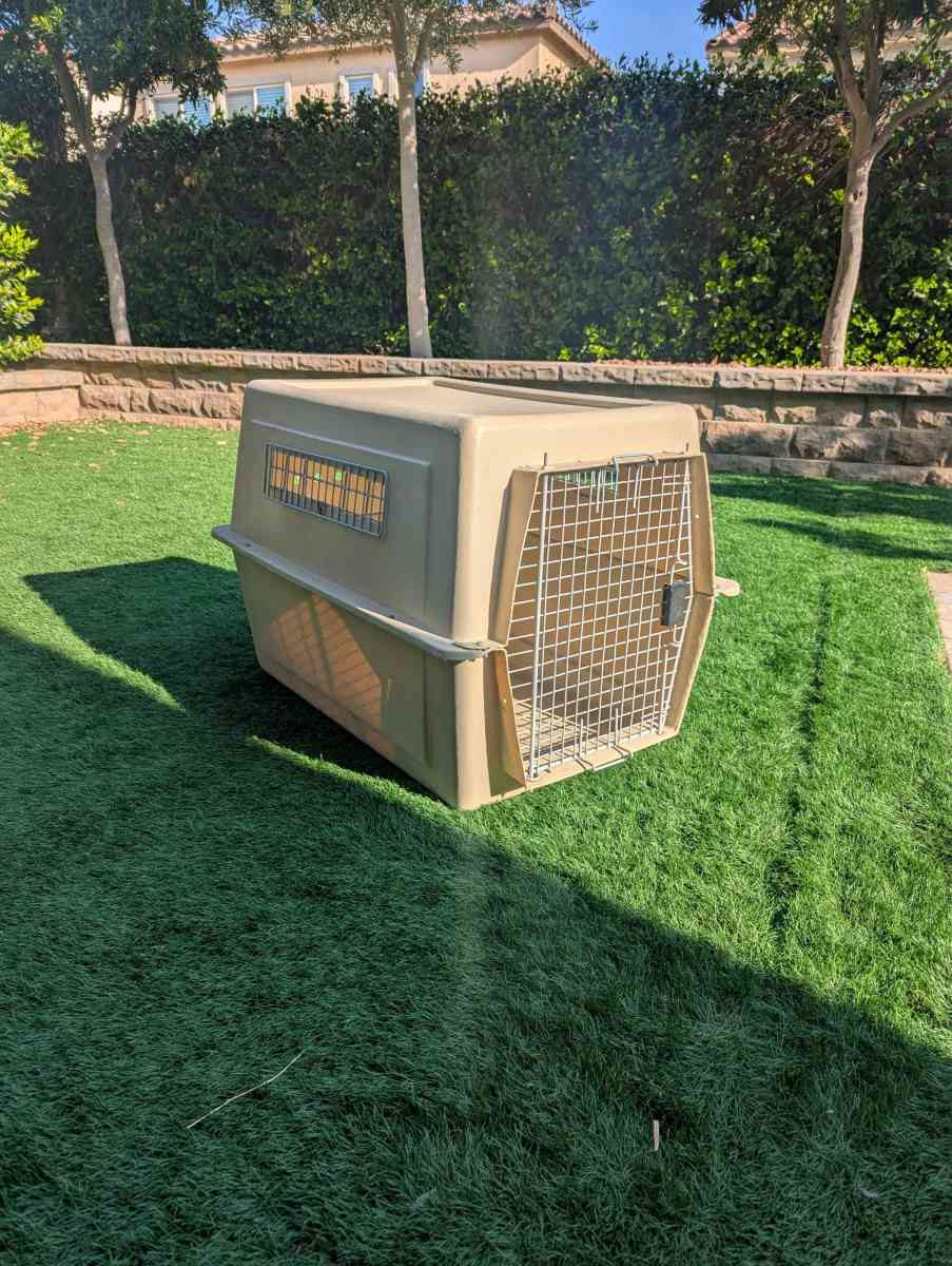 Dog Kennel