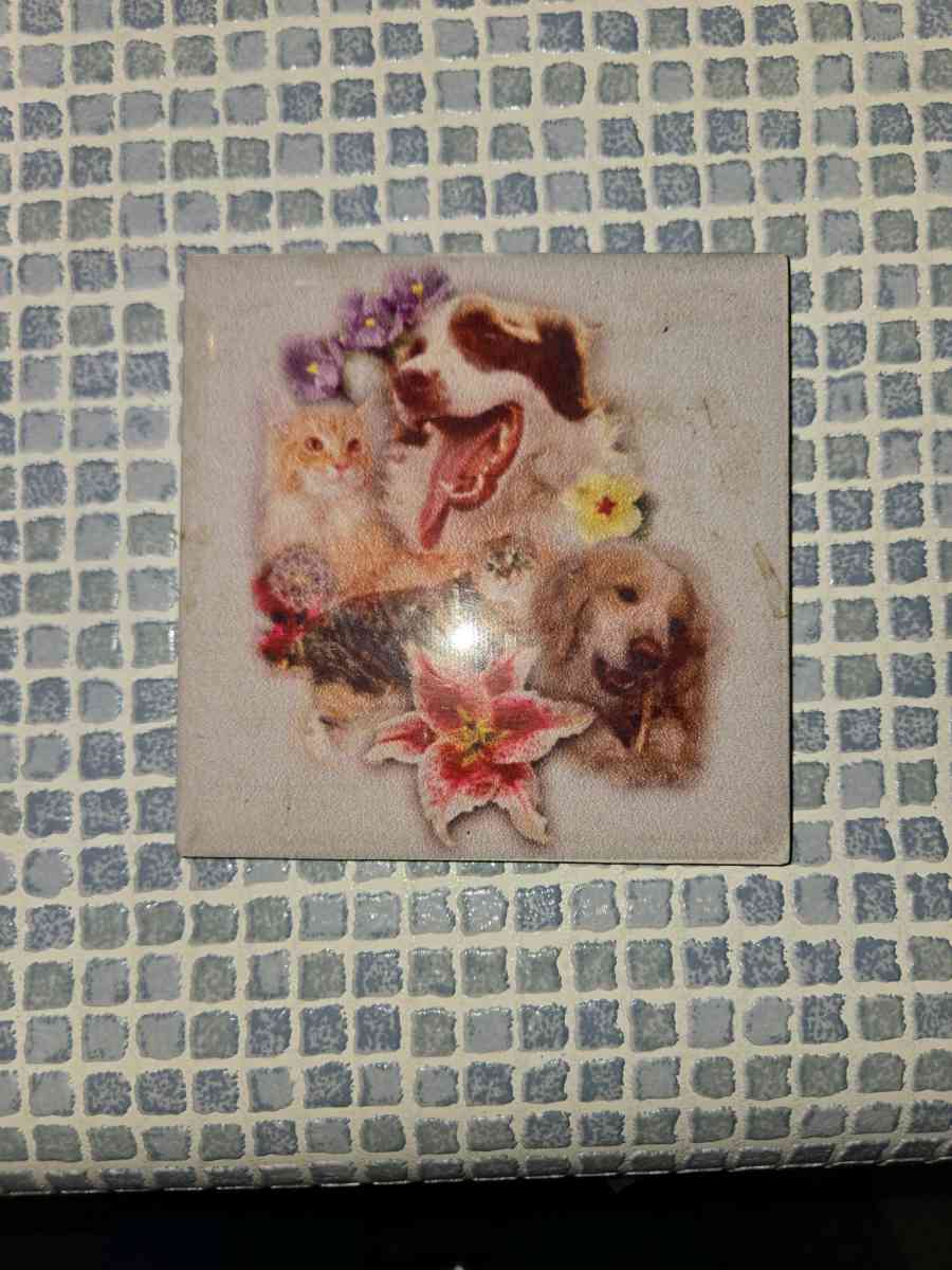 Dogs and Cars Ceramic Tile