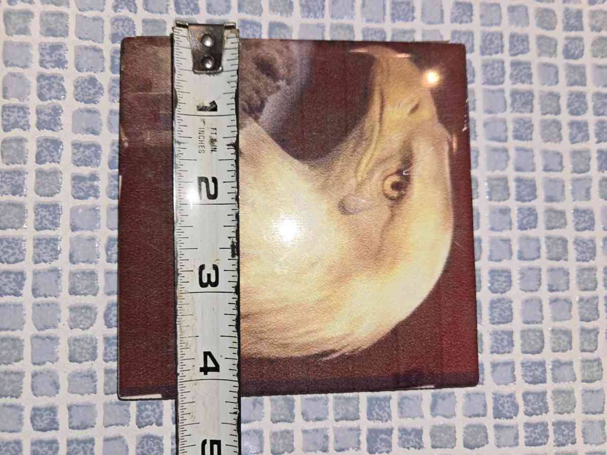 The Bald Eagle 091101 Crying Twin Towers Ceramic Tile