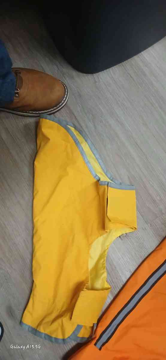 dog sweaters and rain coats size small to medium