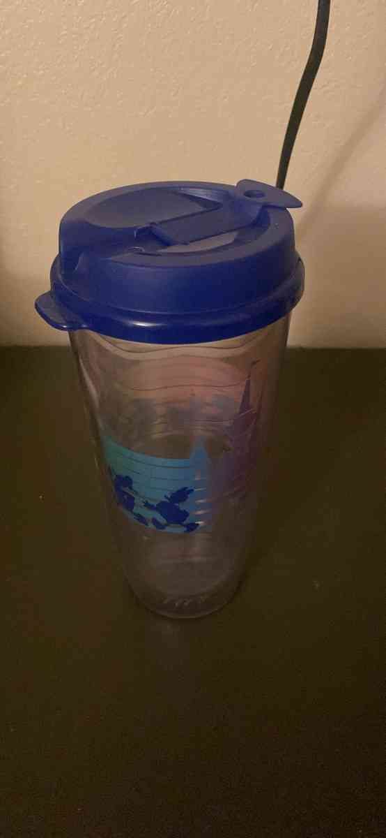 Disney pride tumbler