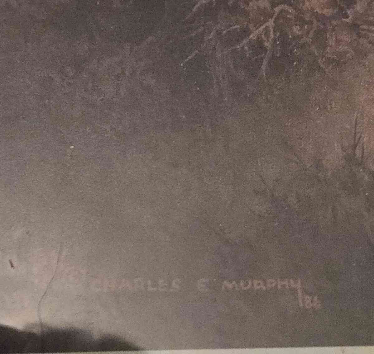 Deer print by Charles E Murphy