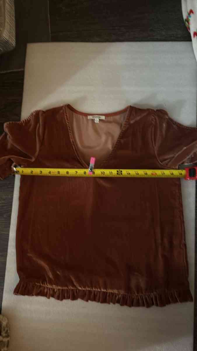 Madewell VelvetTulip Sleeve Ruffle Top Size S