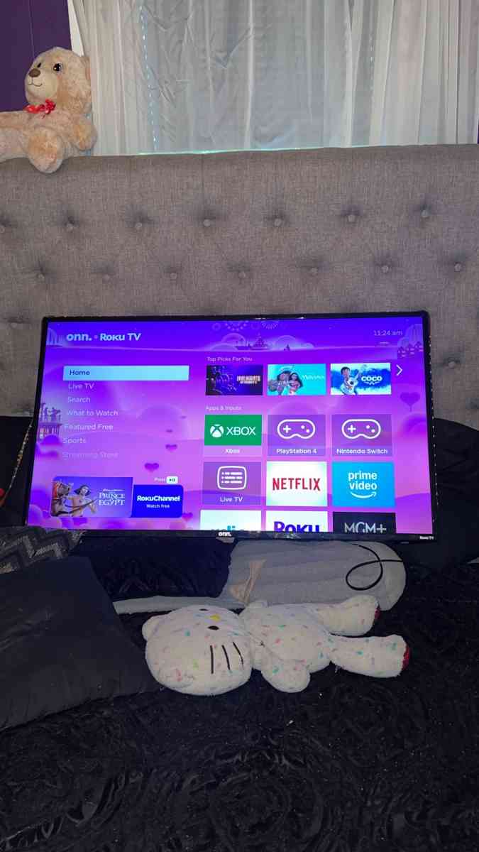 onn Roku 43in tv