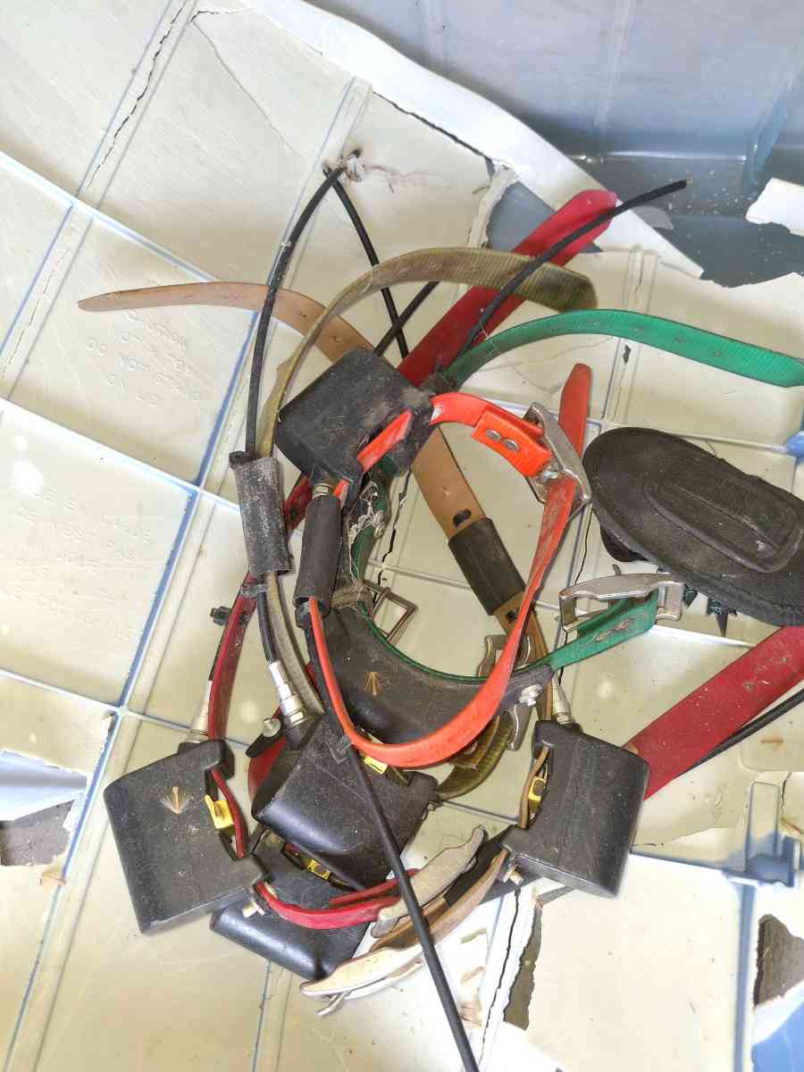 dog doors crates n more