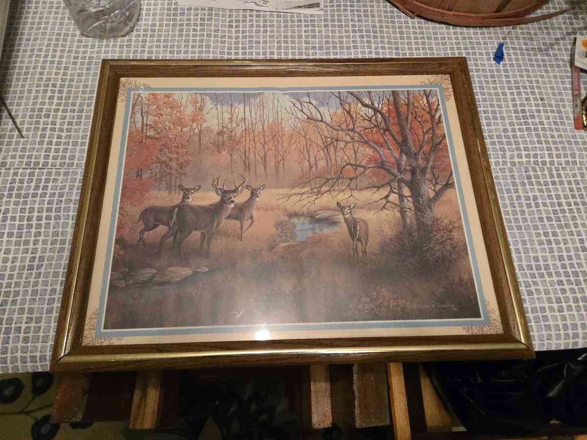 Deer print by Charles E Murphy