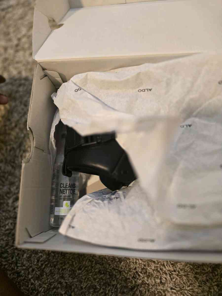 Black Aldo Sneakers With Cleaner