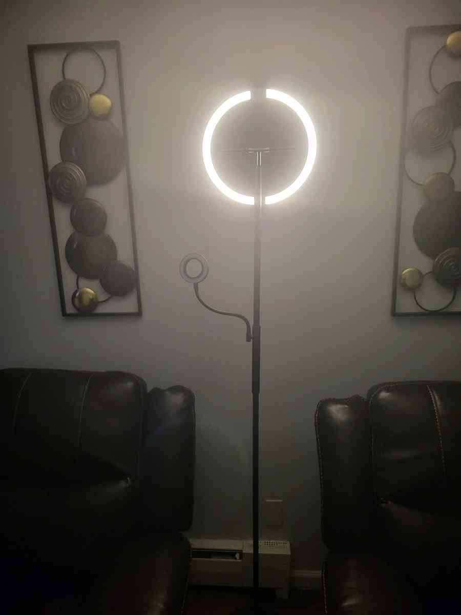 Remote Controlled LED Floor Lamp with Flexible Arm