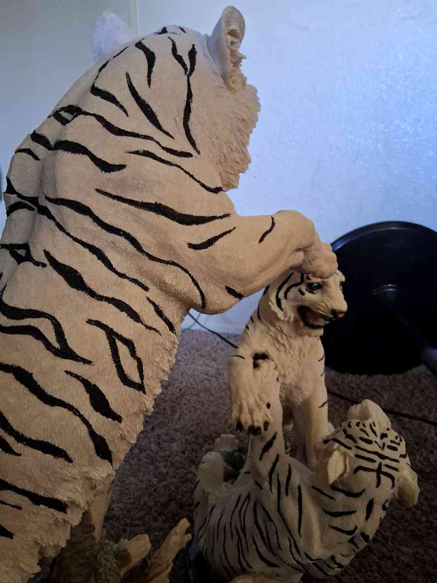 white beagle tigers pair