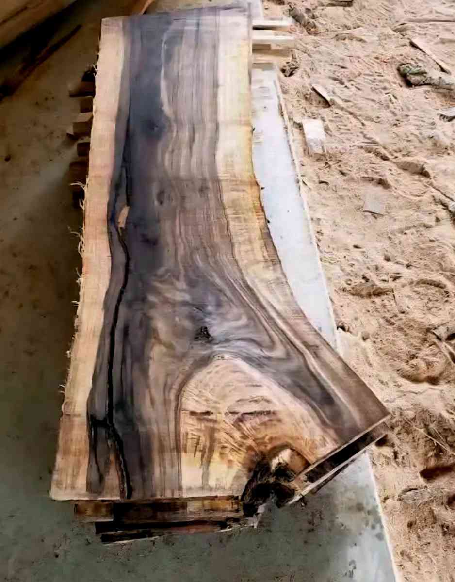 Tree Removal and Specialty Solutions