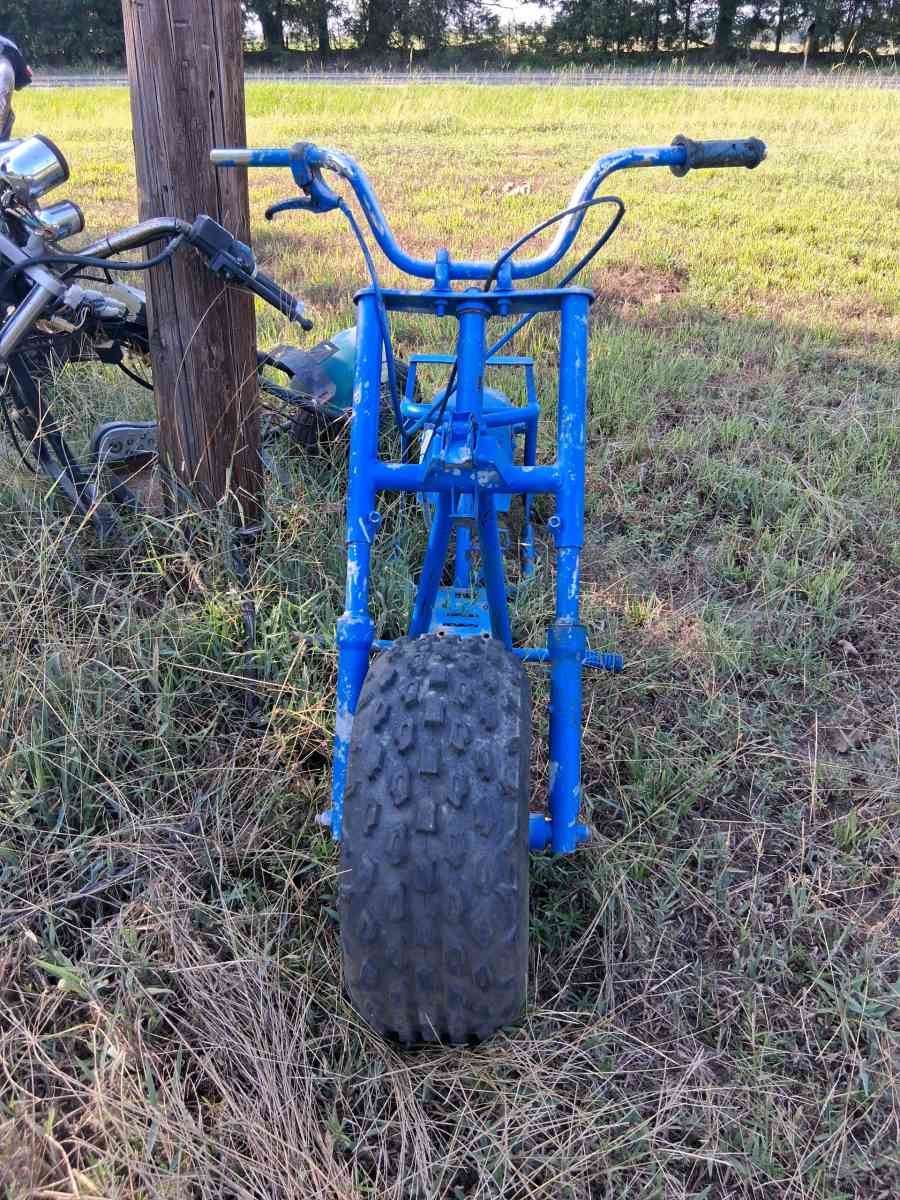 Electric Blue Mini Bike