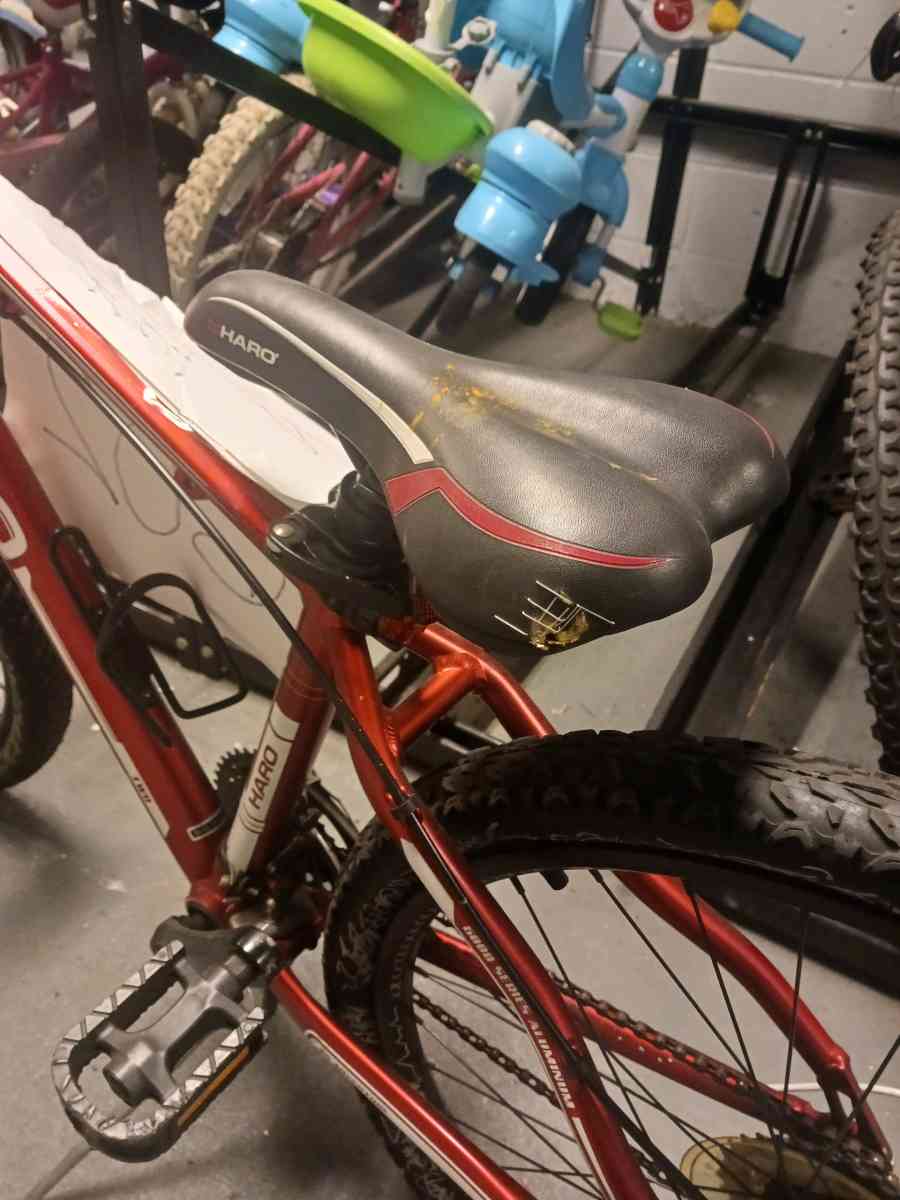 Red 2013 Haro Flightline Sport  Custom Wheel Art Flat Tire