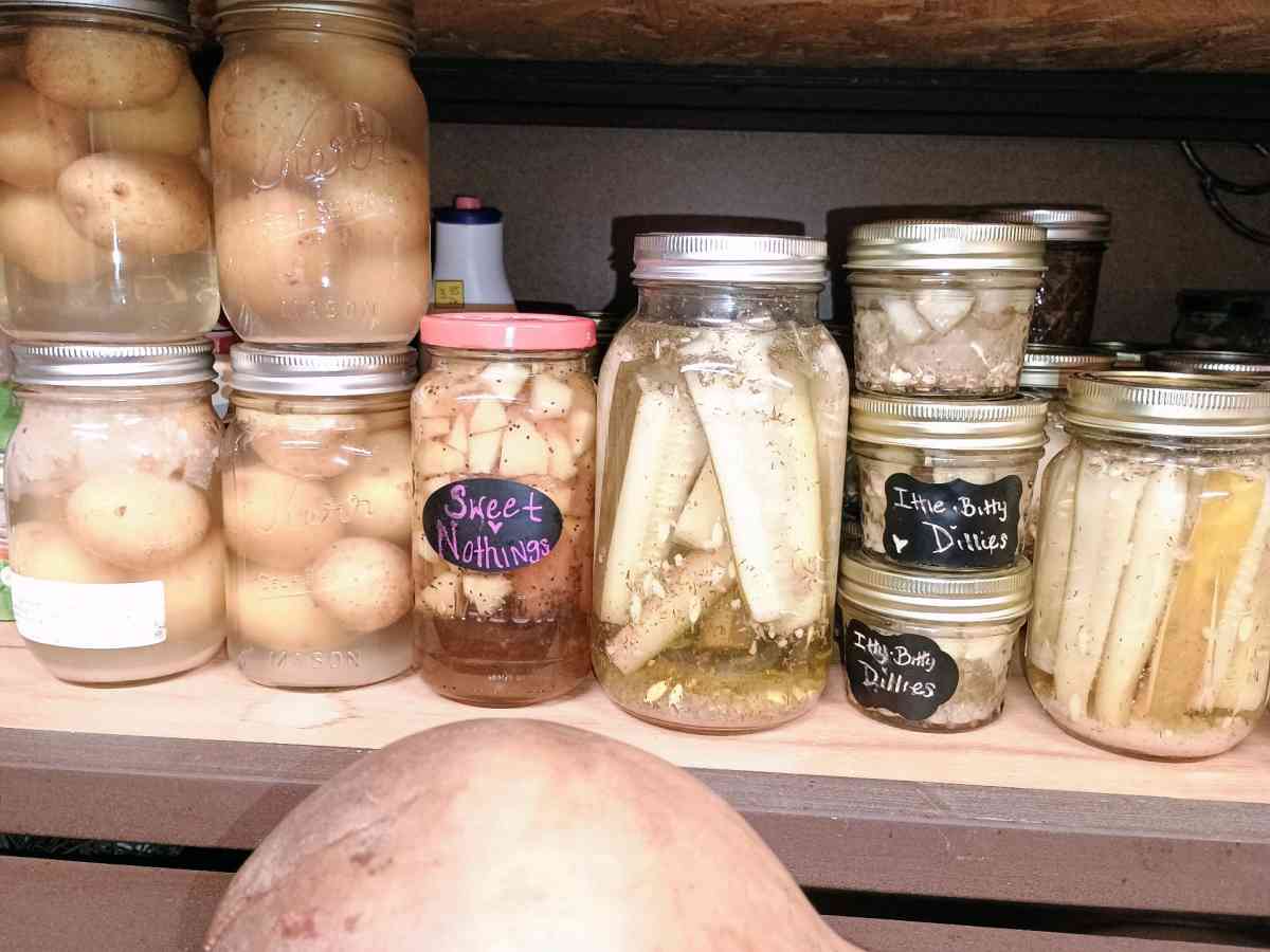 fresh organic old school made canned food