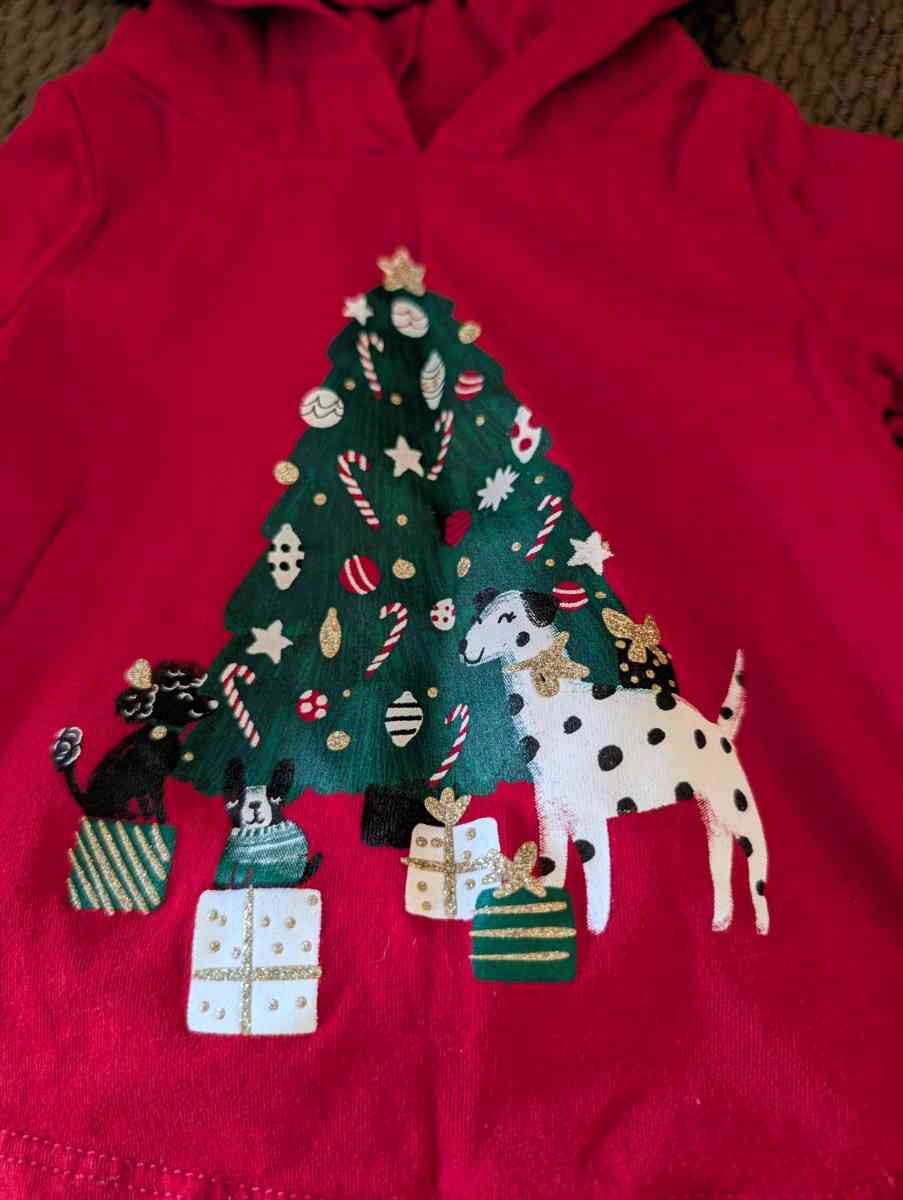 Baby Christmas outfit with hood