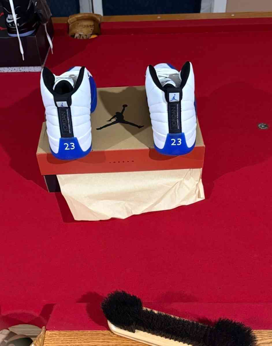 Air Jordan 12