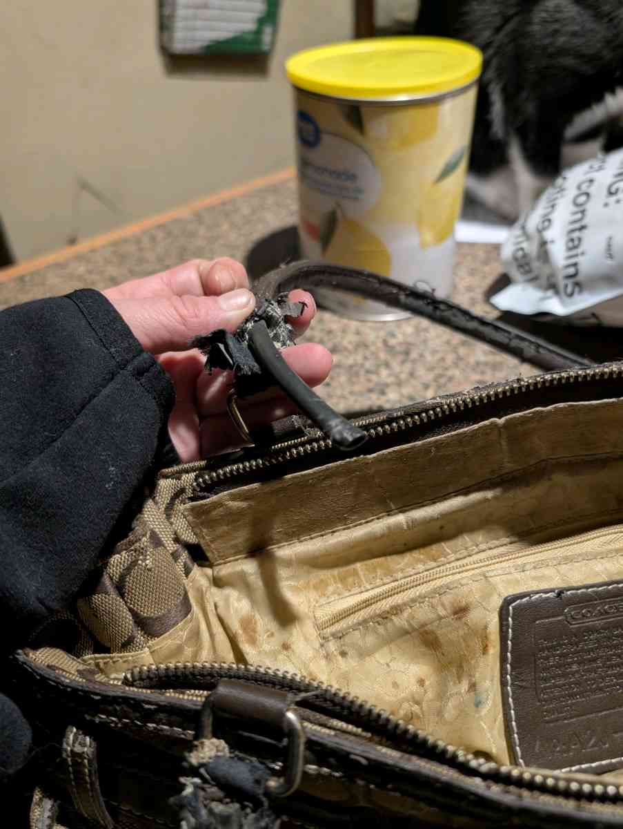 Coach bag style 1491