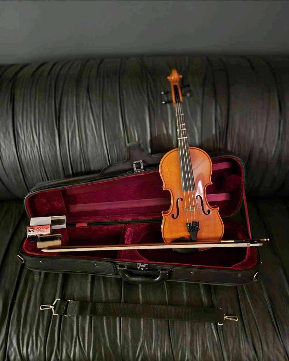 violin