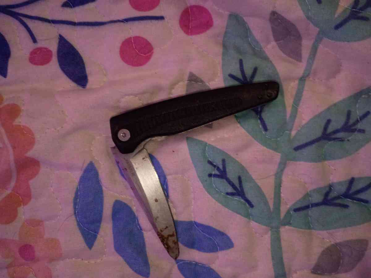 kershaw Victoronix and Chinese pen knife