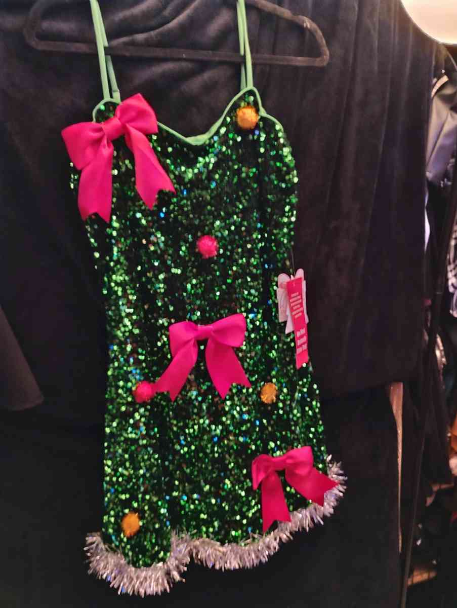 Brand New Christmas Dress