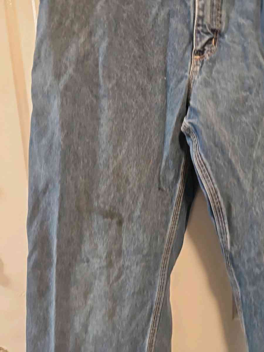 Carhartt FR CAT2 Jeans