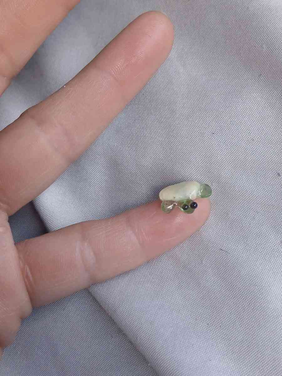 Handmade nano turtle N1