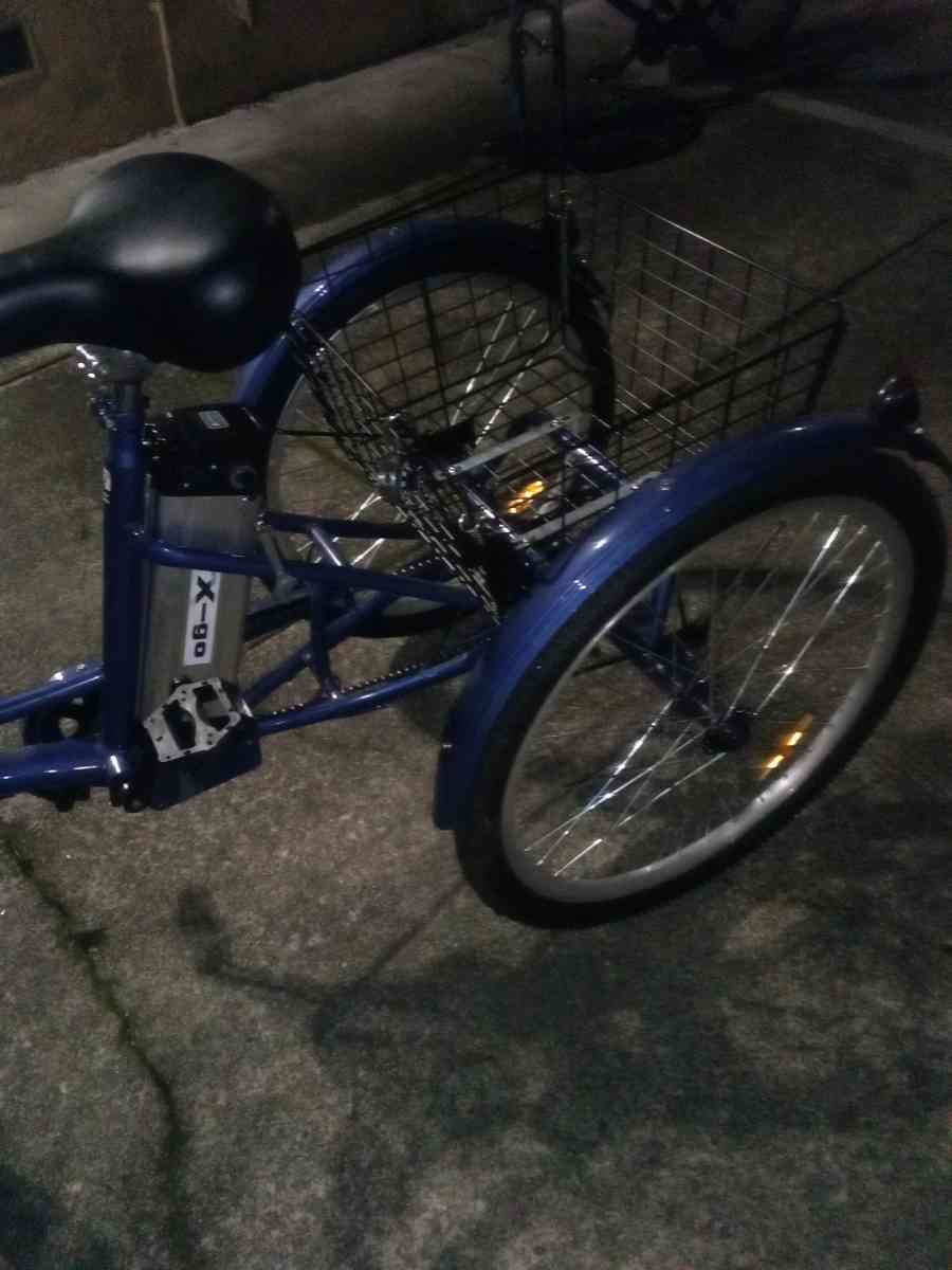 Electric Trike