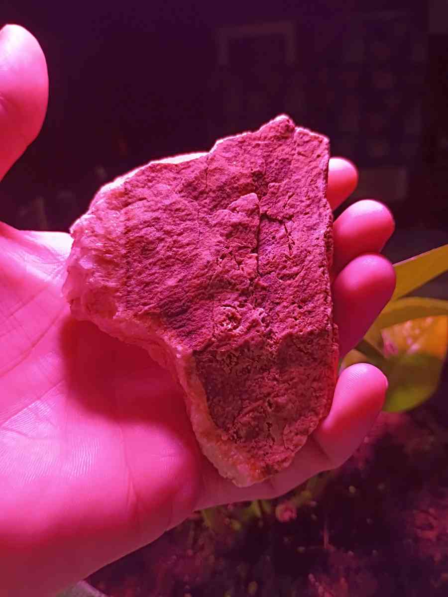 paliolithic native American stone axe heads