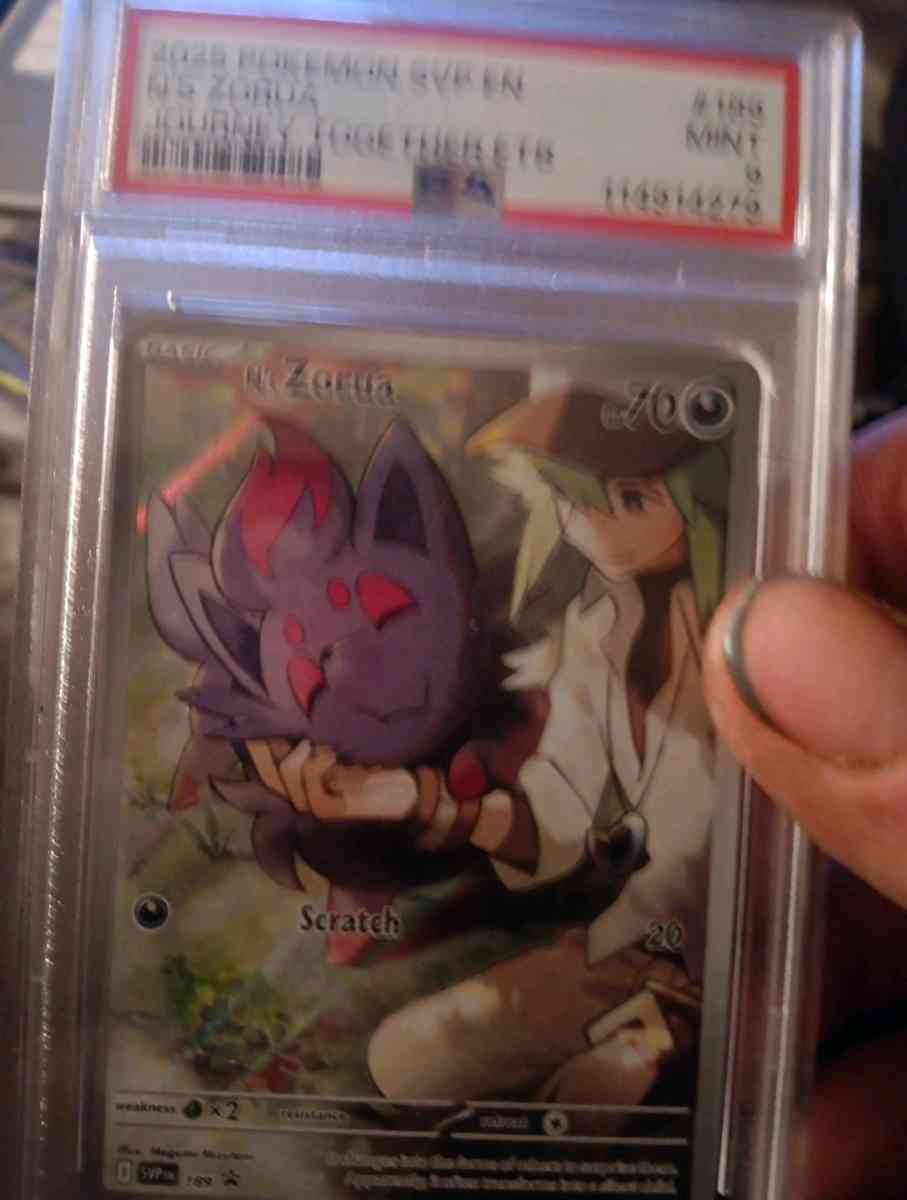 Zorua psa 10