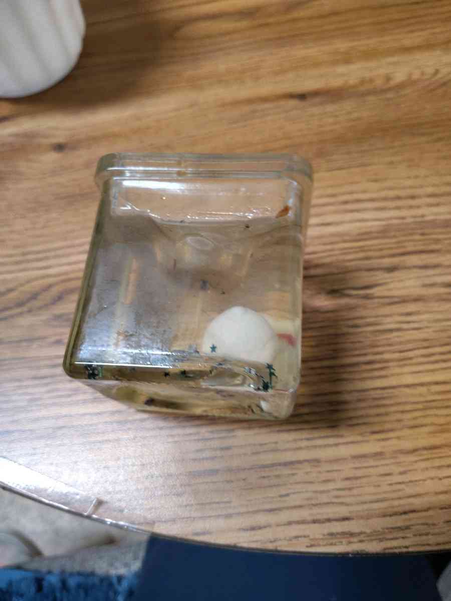 clear jelly candle with small white animals in the candle