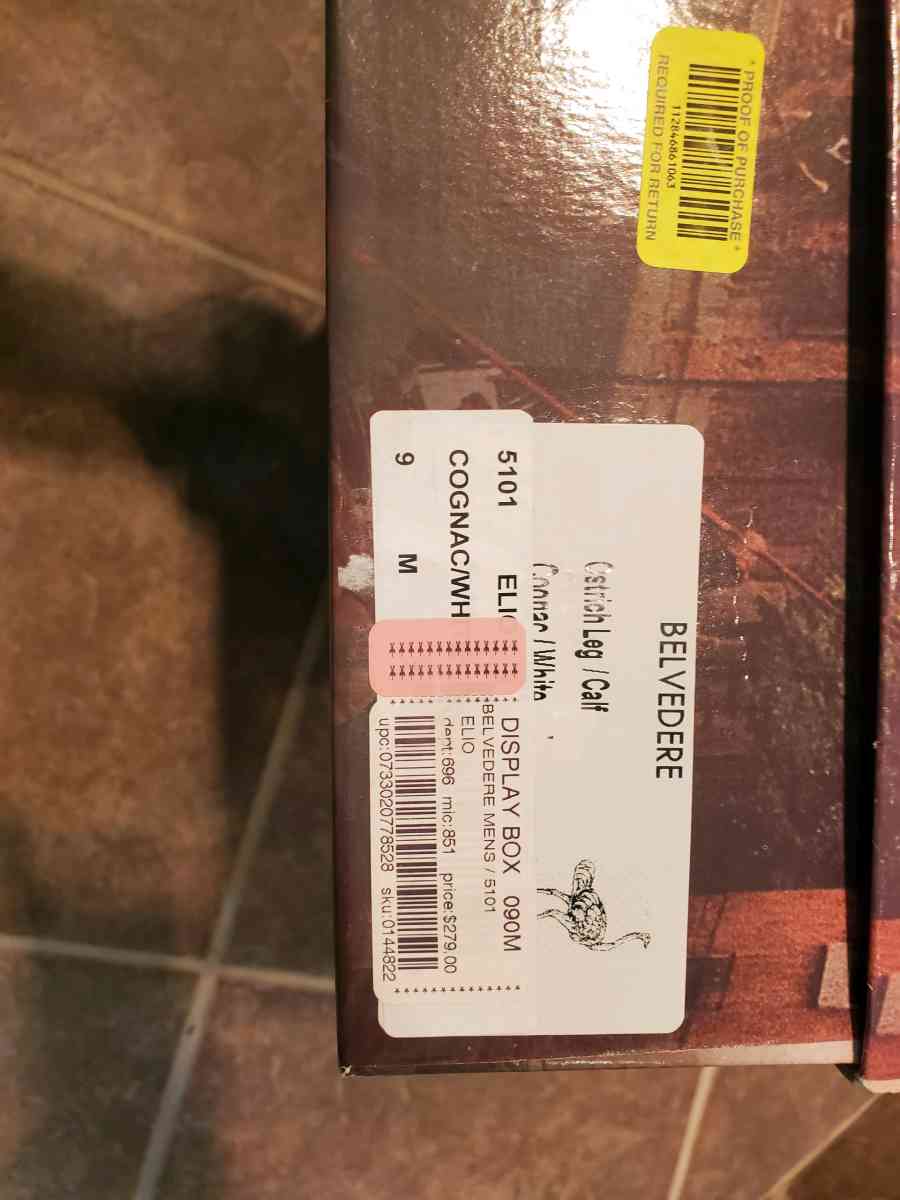 Belvedere Studio shoes