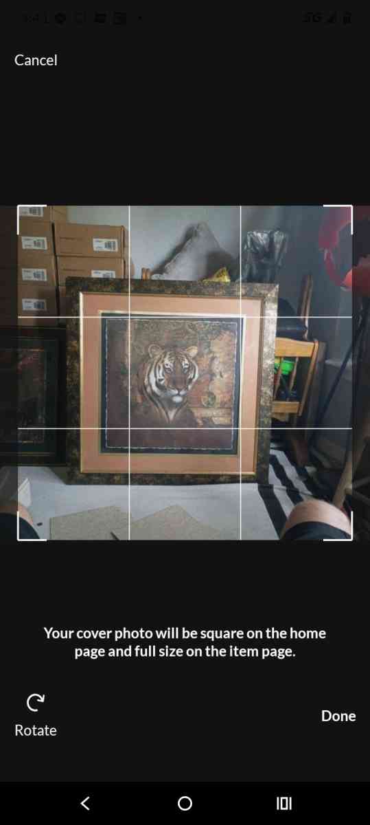 Tiger and leopard painting