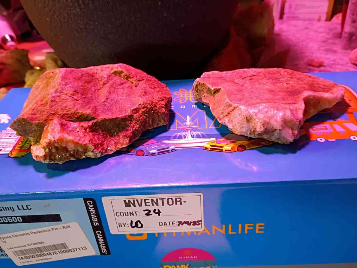 paliolithic native American stone axe heads