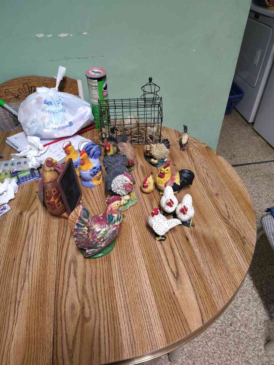 chickens and roosters