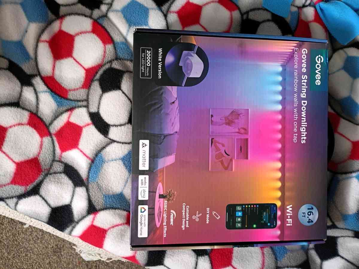 Govee string DOWNLIGHTS