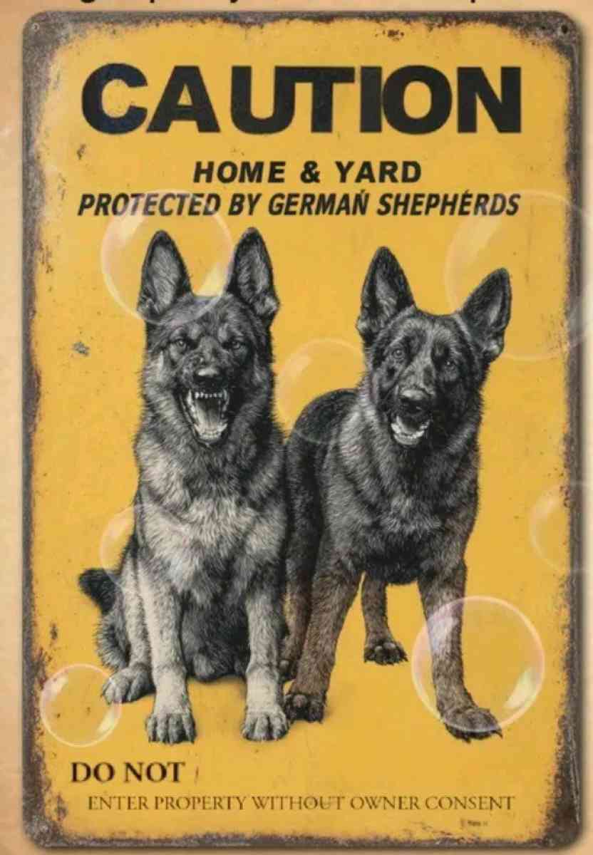 Metal Beware of Dog Sign